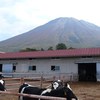 大山まきば みるくの里