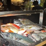 なきざかな 新宿店はなれ - 