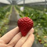 姫路ハートフル観光農園 - 