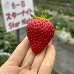 姫路ハートフル観光農園 - 