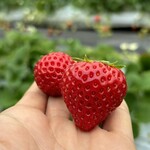 姫路ハートフル観光農園 - 