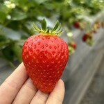 姫路ハートフル観光農園 - 