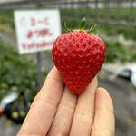 姫路ハートフル観光農園 - 