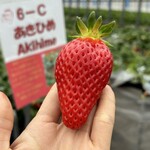 姫路ハートフル観光農園 - 