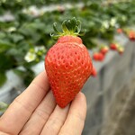 姫路ハートフル観光農園 - 