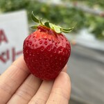 姫路ハートフル観光農園 - 