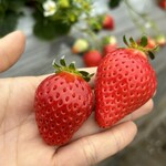 姫路ハートフル観光農園 - 