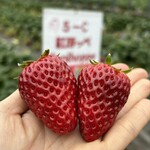 姫路ハートフル観光農園 - 