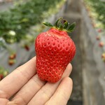 姫路ハートフル観光農園 - 