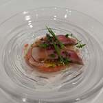 サーラ アマービレ - 