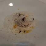 サーラ アマービレ - 