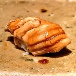 鮨 鴉巣 - 穴子。