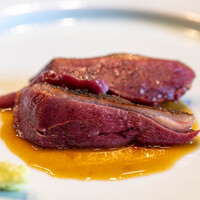 AKAI - 2024.2 鹿児島産網獲り真鴨と尾長鴨