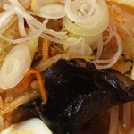 蒙古タンメン中本 - 五目味噌タンメン野菜アップ