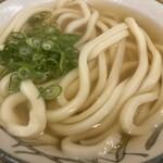 ふる里うどん  - 