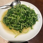 景徳鎮 - 青菜炒め　この日は空芯菜が無く豆苗