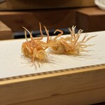 Tempura Miyashiro - 