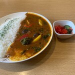 Kari Kari - カレーはシャバシャバなスパイスカリー。福神漬けが付いてます。