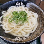 Hanamaru Udon - かけうどん(中)480円