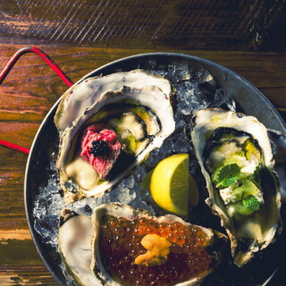 oysterbar 솔트 모델러트