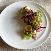 洋食屋ケムリ - 綺麗な前菜。