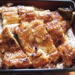 伊勢松 - 竹（１匹）