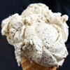 Prince Puckler's Eugene's Own Gourmet Ice Cream - 料理写真:Oregon Chai Tea (Single)