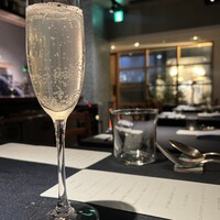 セルサルサーレ - 