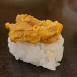 菊水鮓 - 由良のウニ