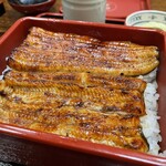 Unagi Hamana - 