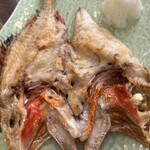 北のグルメ亭 - キンキ