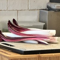 La Stalla - イタリア野菜の王様であるロマネスコ