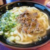 立花うどん