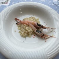 イリエスケープ - 