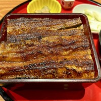 炭焼 うな富士 有楽町店 - 