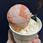 HiO ICE CREAM Atelier 自由が丘 - 別の日：ダブル(いちごツインズ、りんごスティック)✨