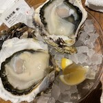 オストレア oysterbar&restaurant - 