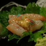 宝寿司分店 - 海老って、ミソで食べるとさらに美味しくなるんですね・・・分かっているとは思いますが・・・