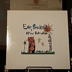 Tarji - Edie Brickell & New Bohemians /Shooting Rubberbands at the Stars