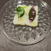 イル アオヤマ - アオリイカ