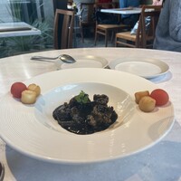 CINA New Modern Chinese - 