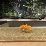 鮨shizuku 西天満 - 