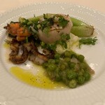 フラスカティ - 