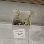 ショコラティエ・エリカ - 