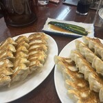 Misuta Gyoza - 