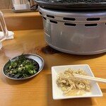 ホルモン たつき - 