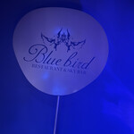 渋谷 Blue bird - 