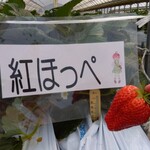 ありなしファーム - 