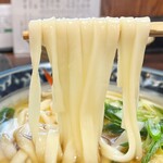 Tako Yoshi - 天なんうどん　麺リフト