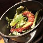 ル スプートニク - 